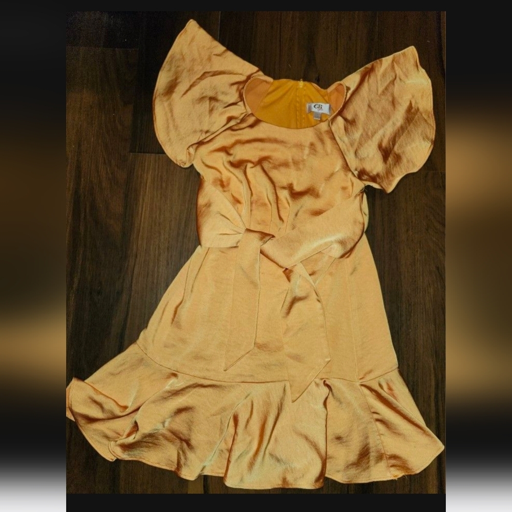 STUNNING Girls Sz 10 gb girls Tangerine Satin-Like Dress with Sash Worn 3x